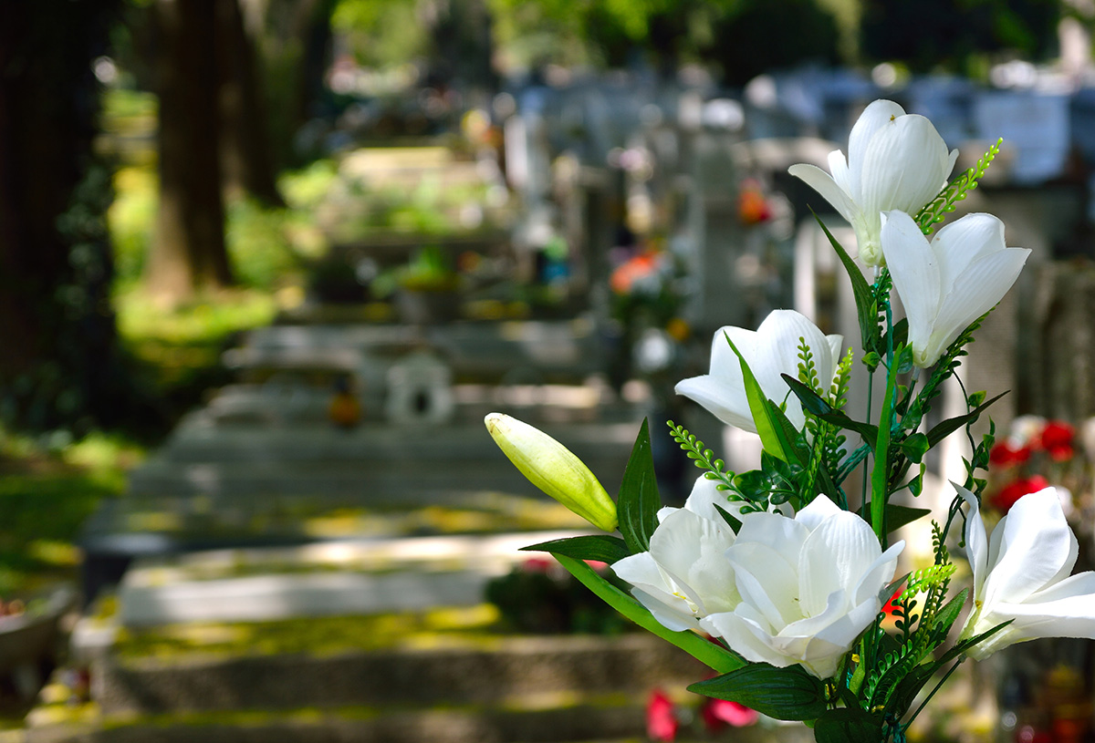 Flowers At Memorial